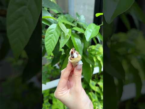 アロハクレープ
