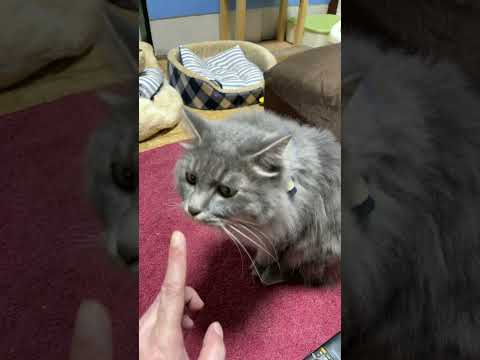 あっくんチャンネル