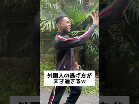ダモ好き( damosuki)