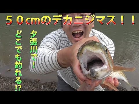 チアキ探検隊