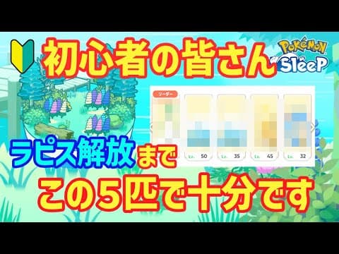 タロイモチャンネル【ポケスリ攻略】