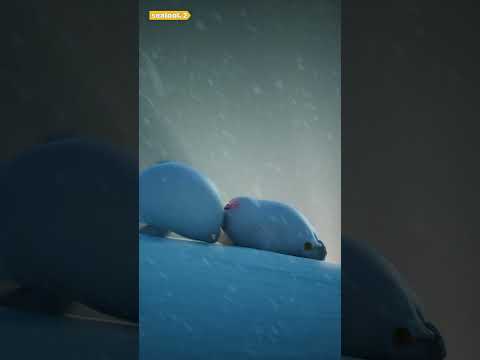 SEALOOK Official