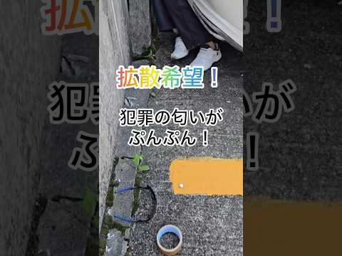 3104’Sチャンネル