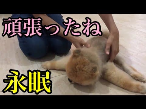 ワサビにサーモンと難病家族