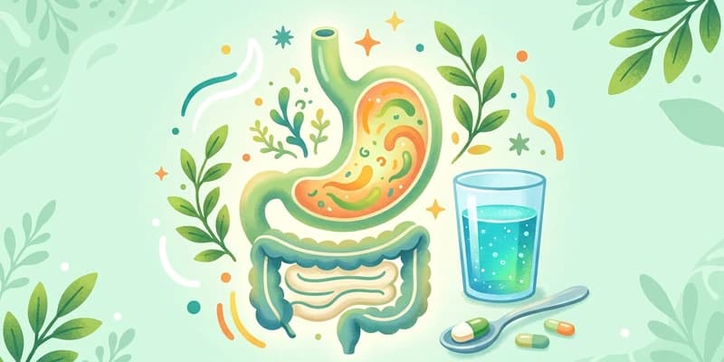 大食い後の体調管理 - 食べた後どうする?